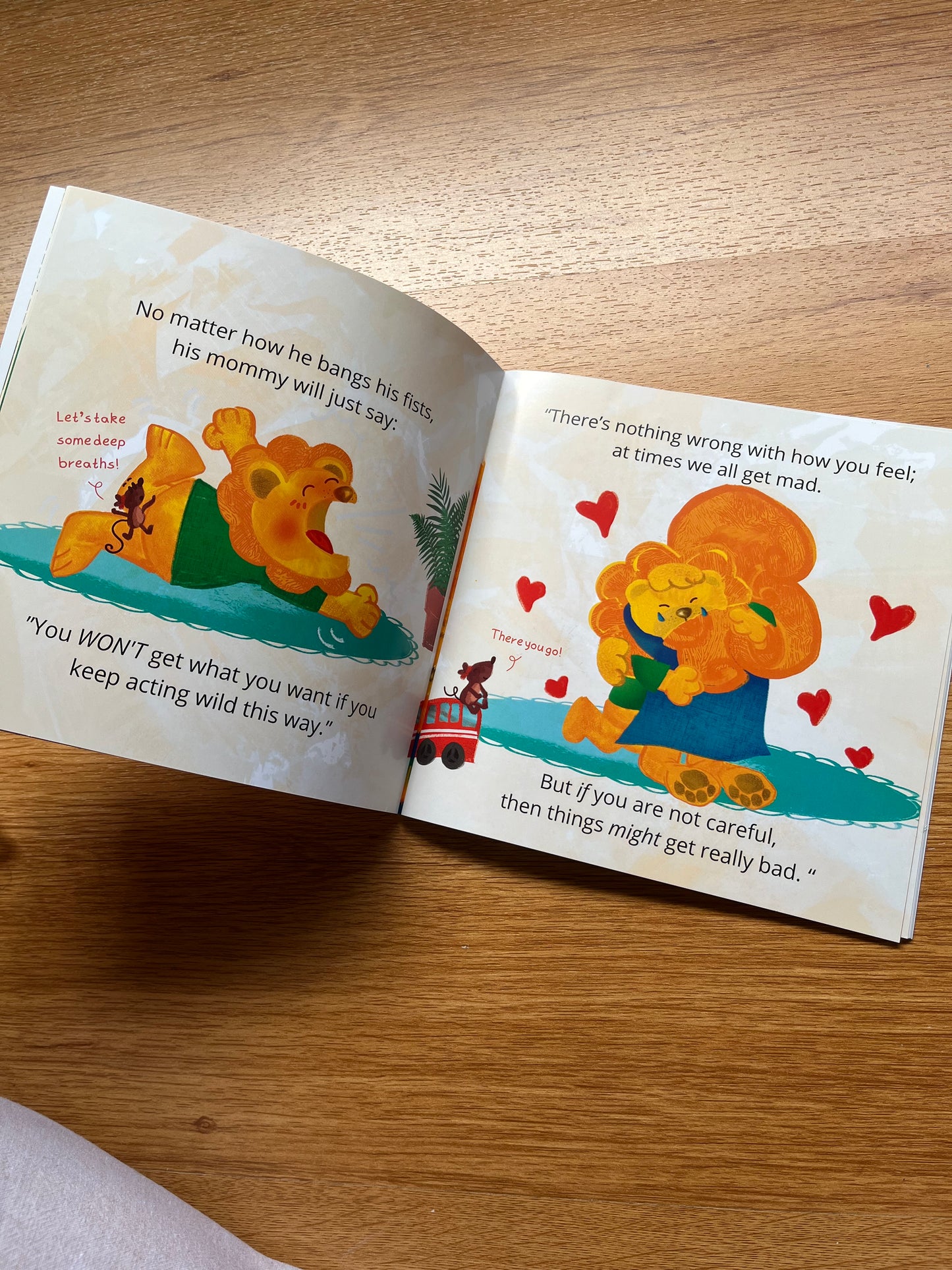 Feeling All My Anger Book