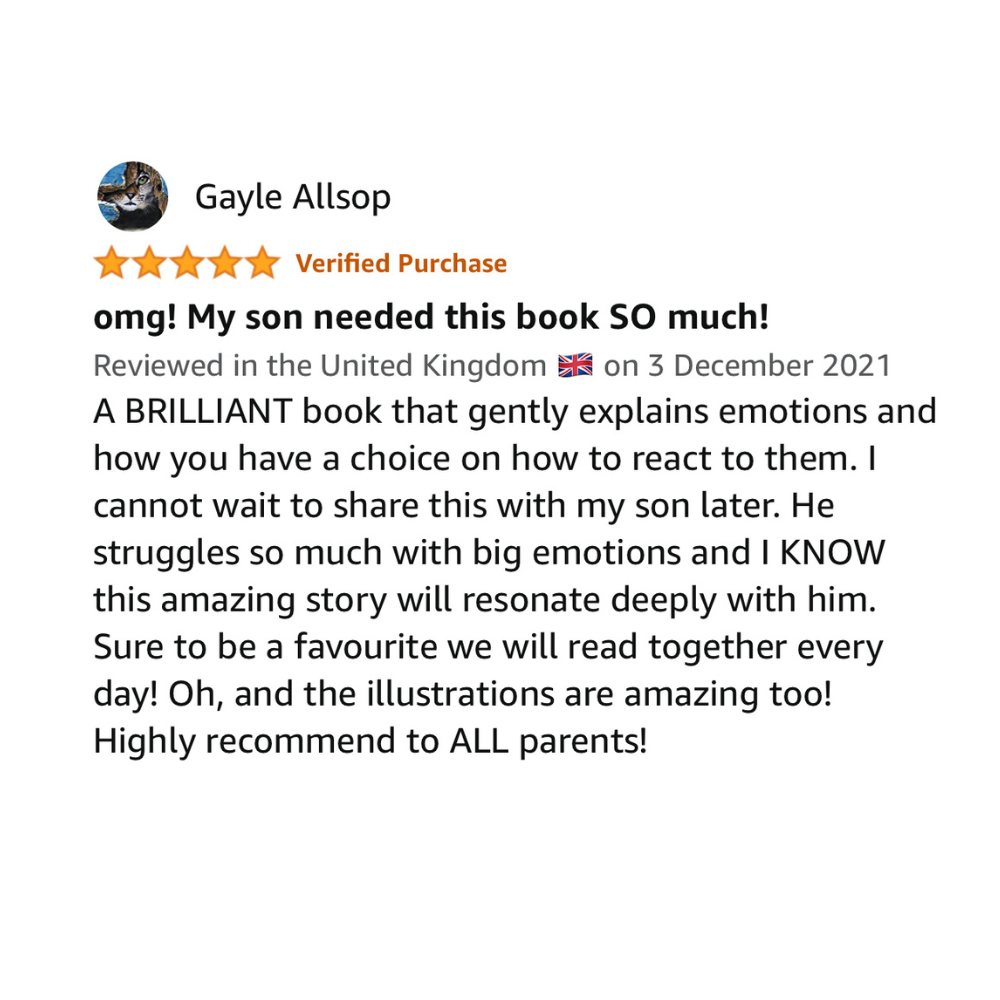 Feeling All My Anger Book