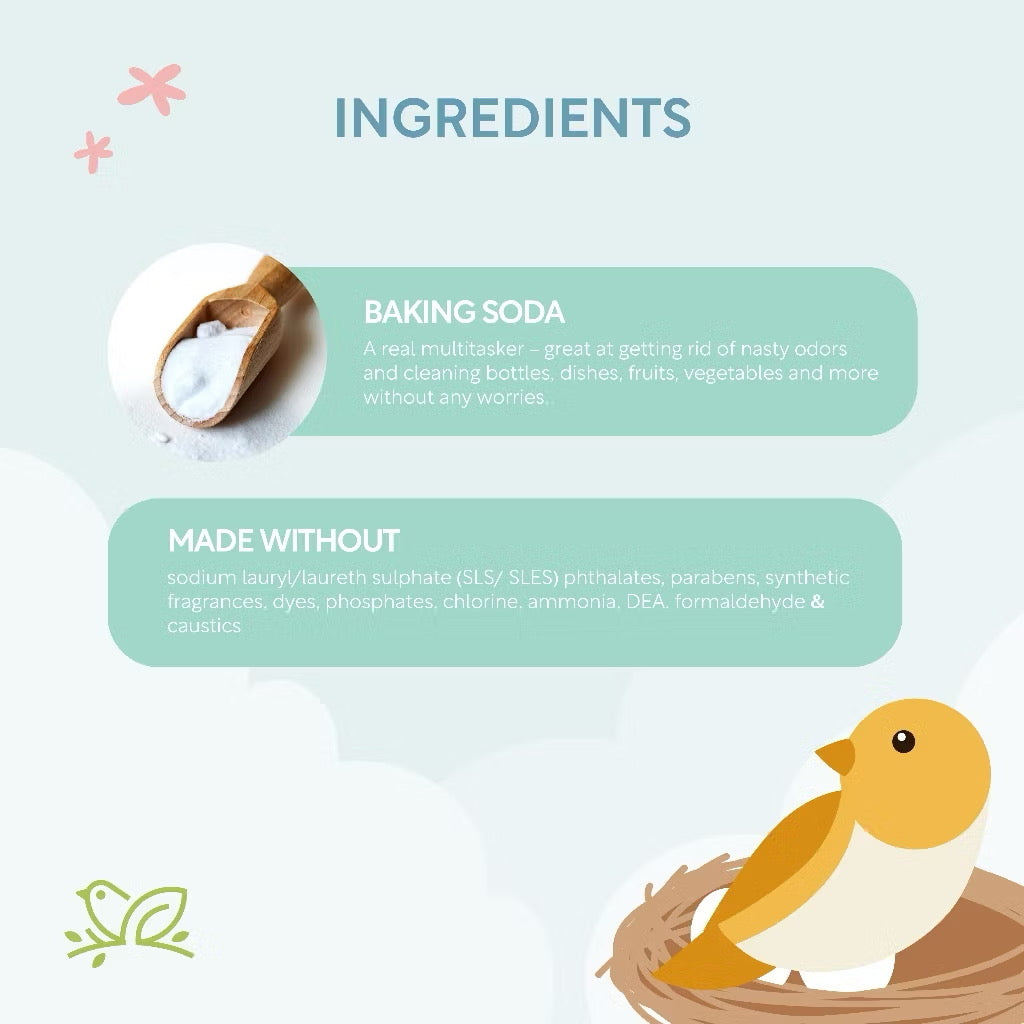 Nature to Nurture Baby Bottle and Dish Wash