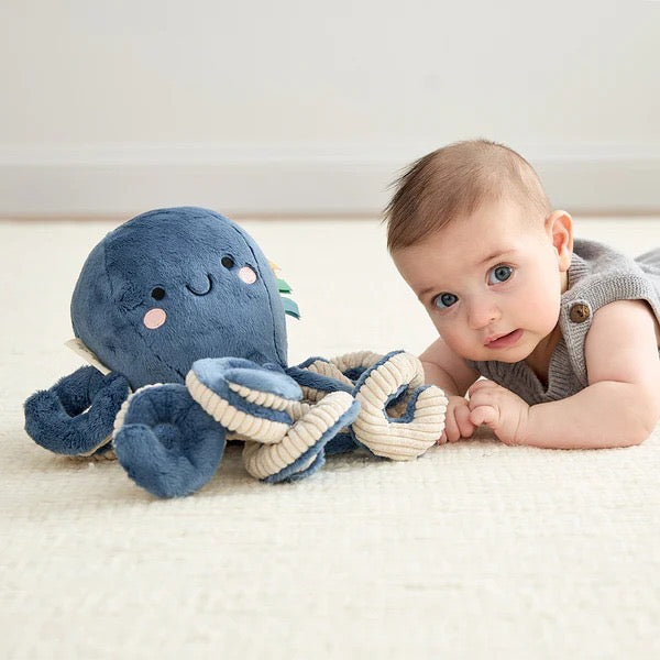 Itzy Ritzy Sweetie Snuggles Plush Toy