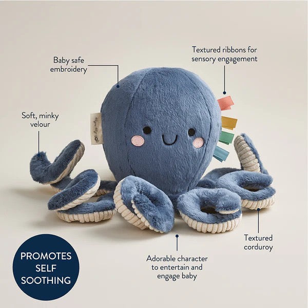 Itzy Ritzy Sweetie Snuggles Plush Toy