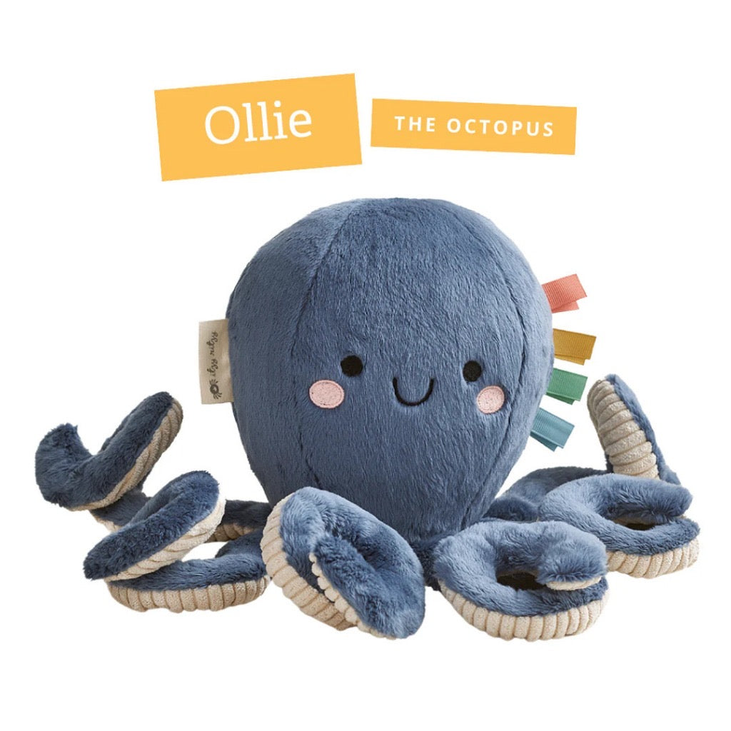 Itzy Ritzy Sweetie Snuggles Plush Toy