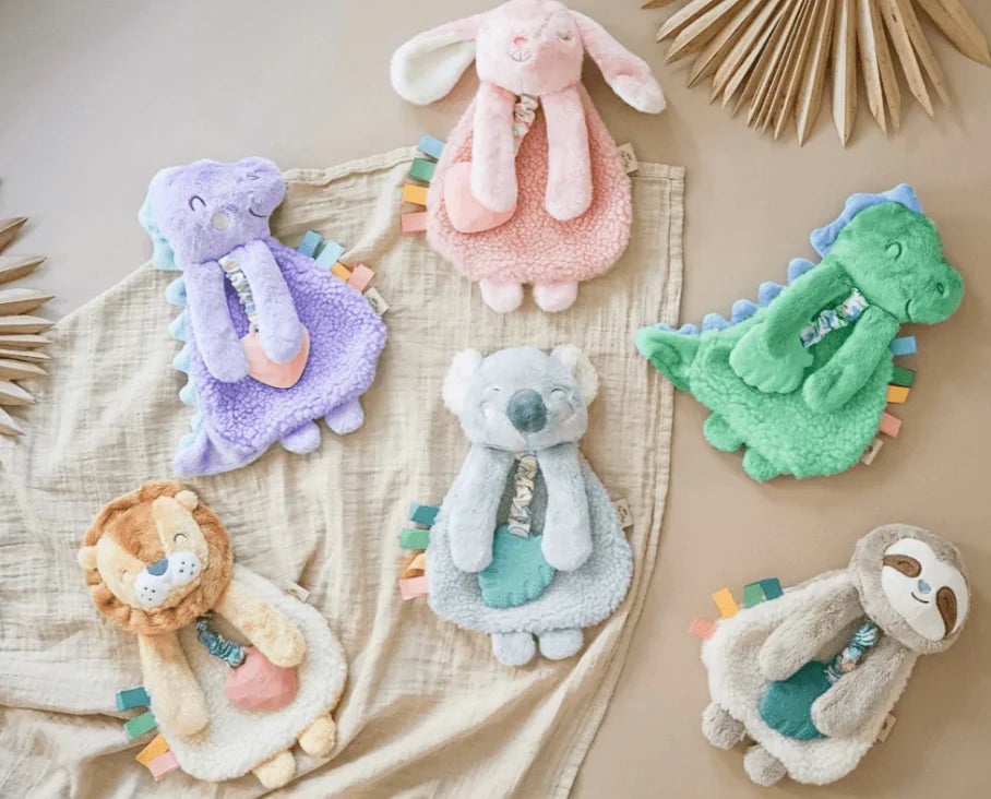 Itzy Ritzy Lovey Plush and Teether Toy