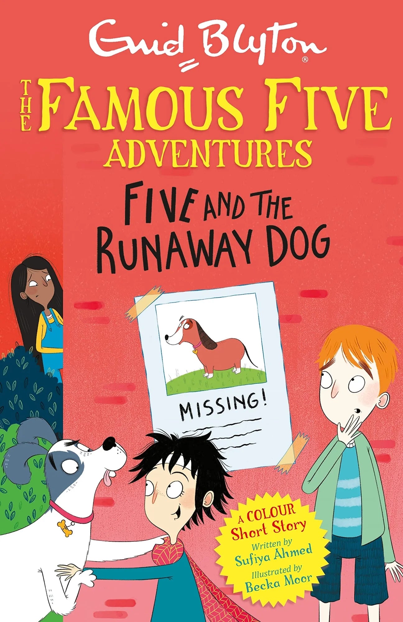 LITTLE FAT HUGS - THE FAMOUS FIVE ADVENTURES COLOUR SHORT STORIES COLLECTION (4 BOOKS)