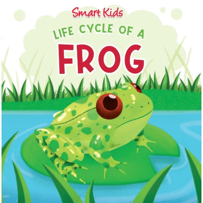Smart Kids Life Cycle