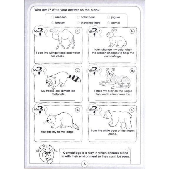 Fun with Activity Set of 3
