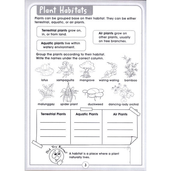 Fun with Activity Set of 3
