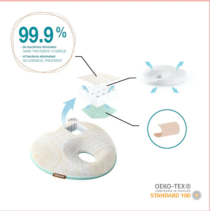 BABYMOOV LOVENEST NATURAL CARE (NEWBORN ANTI-FLAT HEAD PILLOW)