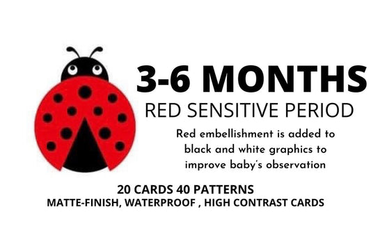 Blooming Wisdom Montessori Visual Cards