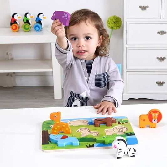 Tooky Toy Chunky Puzzle