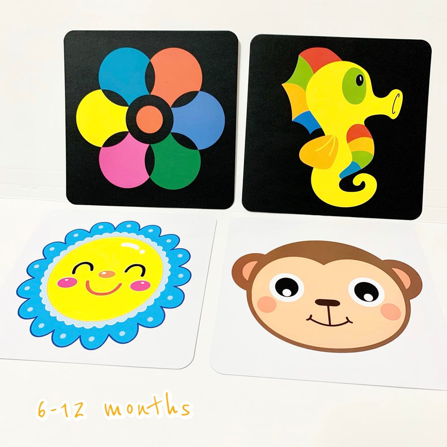 Blooming Wisdom Montessori Visual Cards