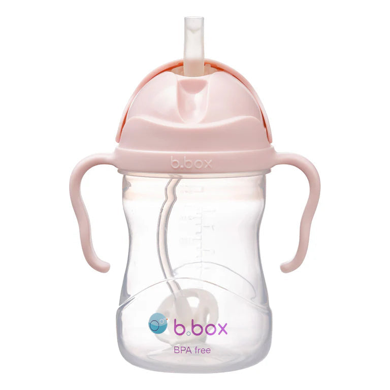 B. BOX SIPPY CUP 240ML / 8OZ