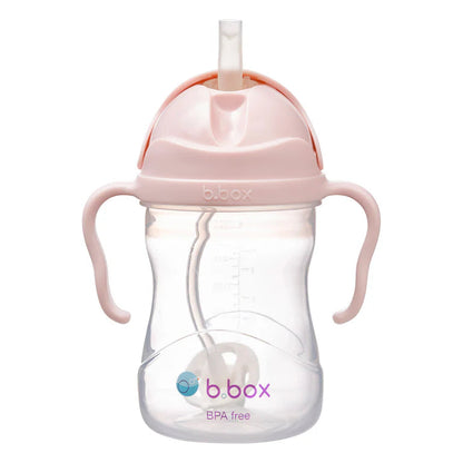 B. BOX SIPPY CUP 240ML / 8OZ