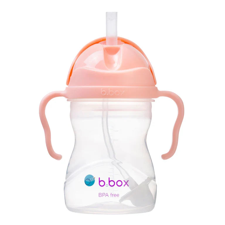 B. BOX SIPPY CUP 240ML / 8OZ