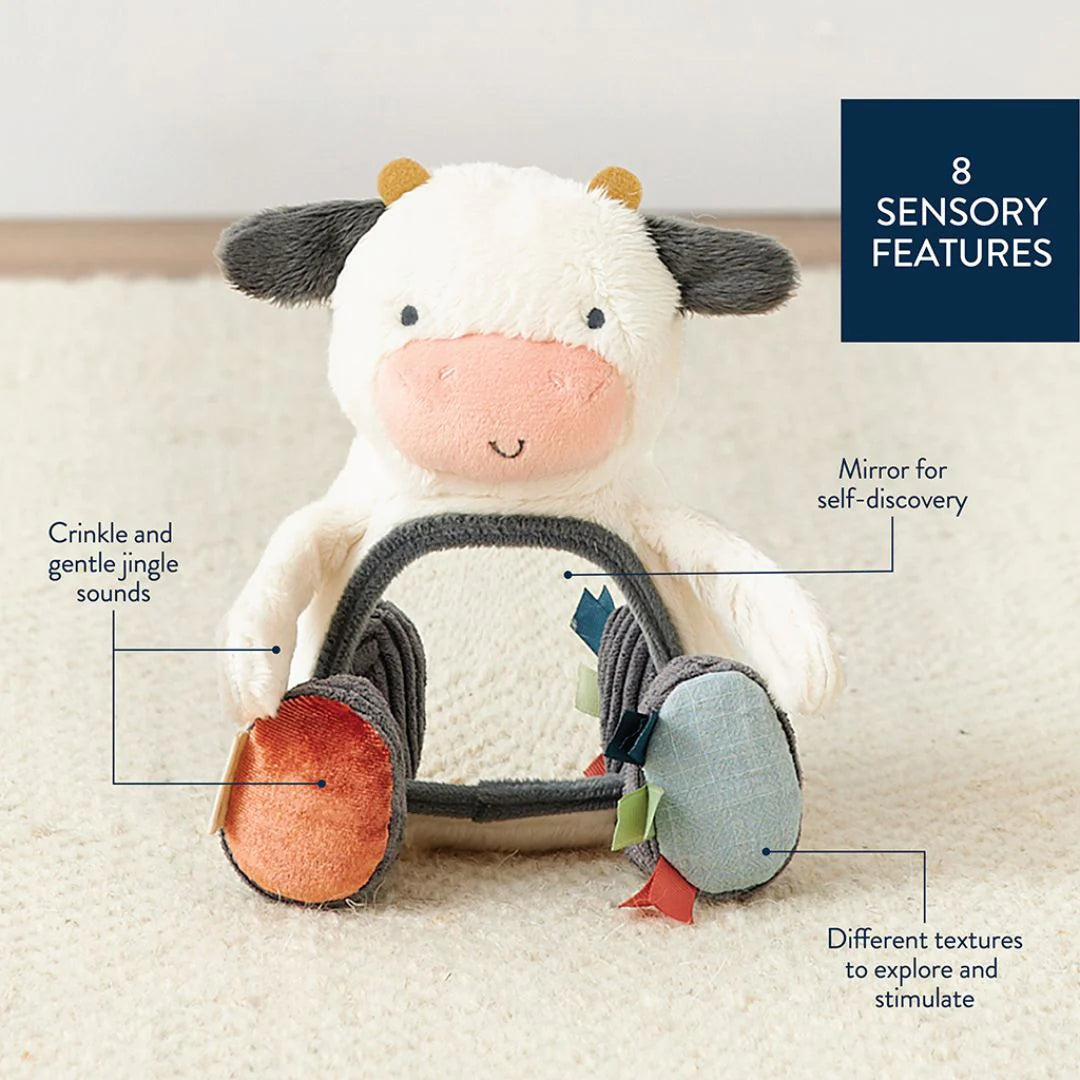 Itzy Ritzy Bitzy Mirror Sensory Tummy Time and Travel Toy