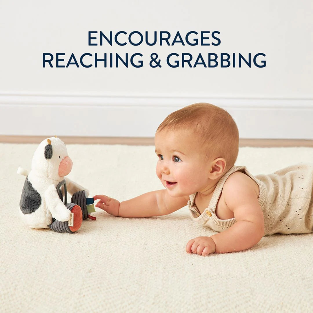 Itzy Ritzy Bitzy Mirror Sensory Tummy Time and Travel Toy