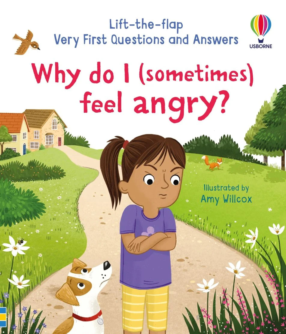 Usborne Very First Questions and Answers: Why Do I (Sometimes) Get Angry?
