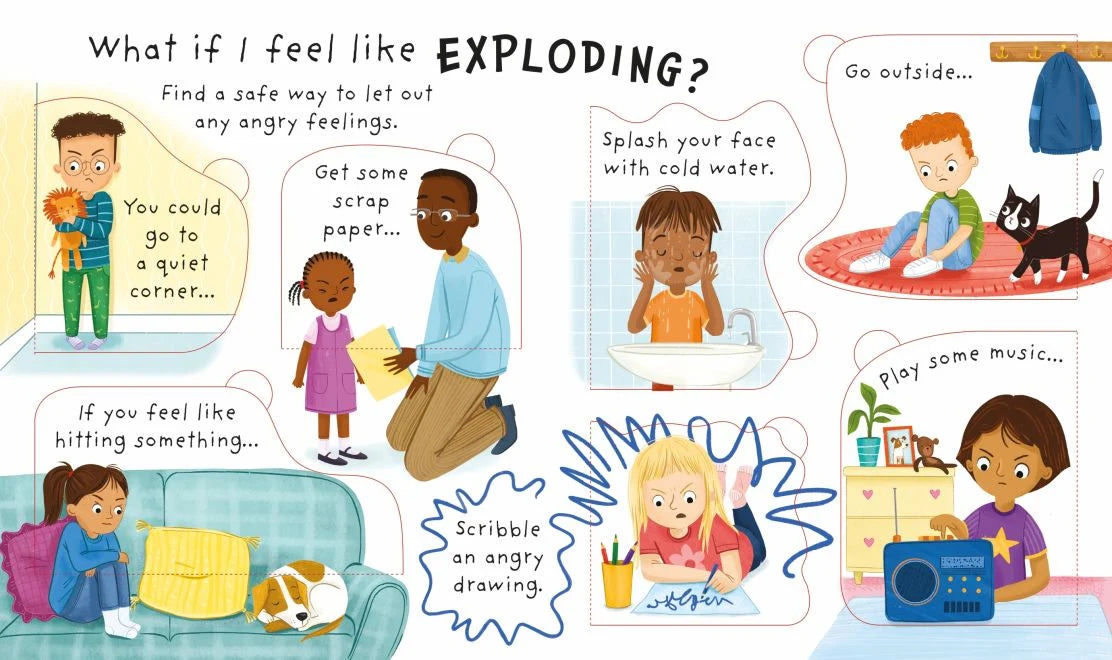 Usborne Very First Questions and Answers: Why Do I (Sometimes) Get Angry?