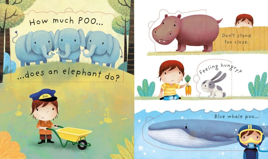 Usborne Very First Questions and Answers: What is Poo?
