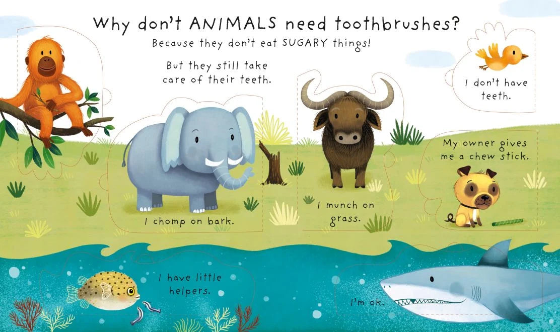 Usborne Very First Questions and Answers: Why Should I Brush My Teeth?