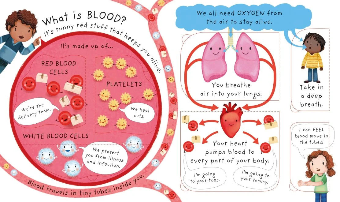 Usborne Very First Questions and Answers: What’s Inside Me?