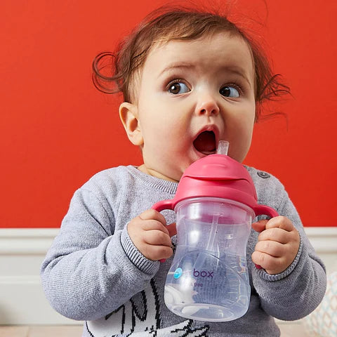 B. BOX SIPPY CUP 240ML / 8OZ