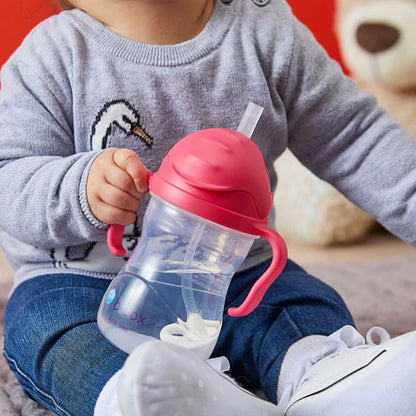 B. BOX SIPPY CUP 240ML / 8OZ