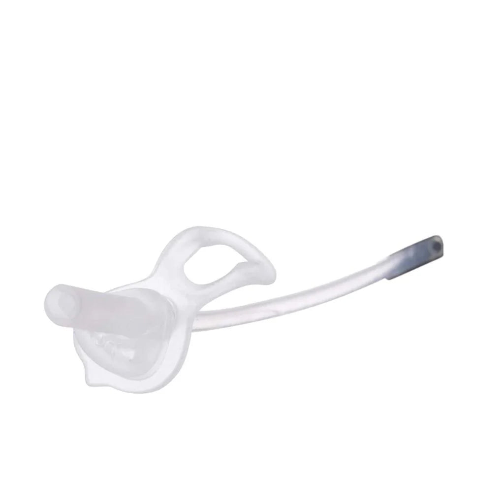 B.box Replacement Straws and Cleaner  for Sippy Cup
