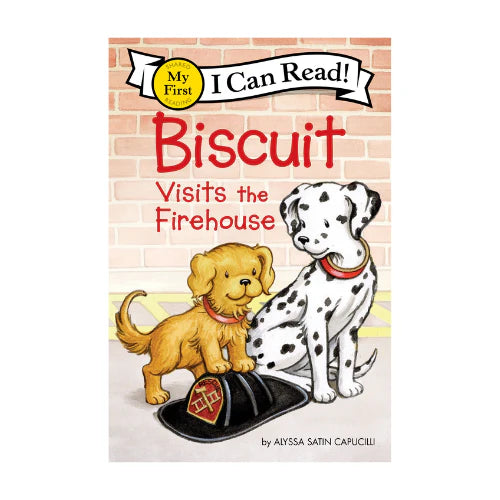 LFH I Can Read Biscuit Collection (27 book set)