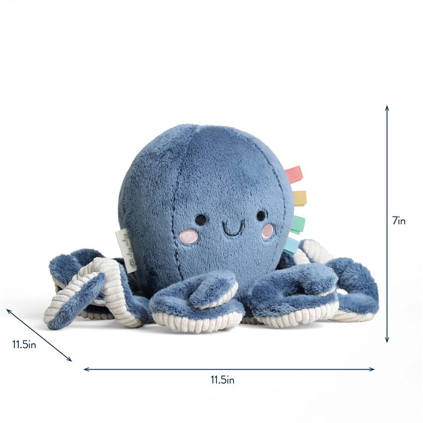 Itzy Ritzy Sweetie Snuggles Plush Toy