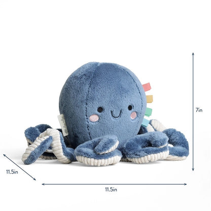 Itzy Ritzy Sweetie Snuggles Plush Toy