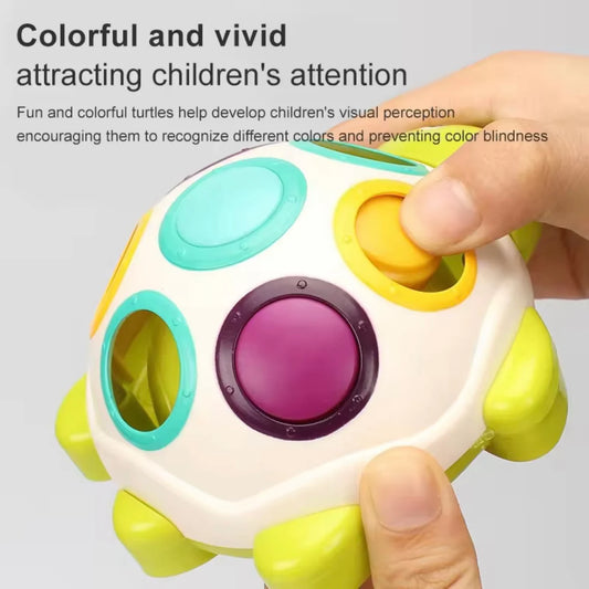 Little Fat Hugs Sliding Turtle