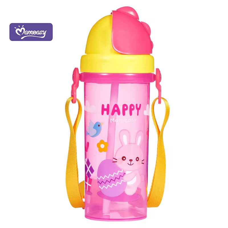 Momeasy 450ml Water Bottle