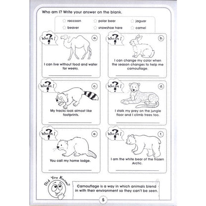 Fun with Activity Set of 3