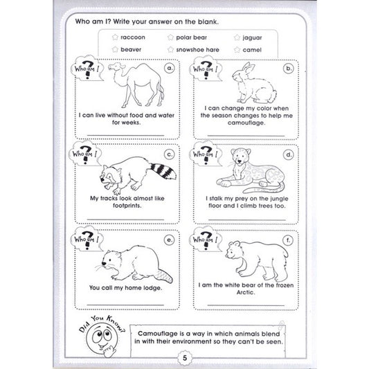 Fun with Activity Set of 3