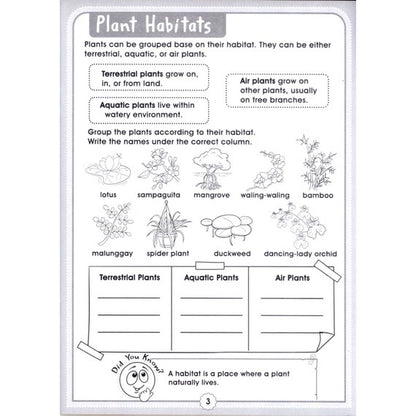 Fun with Activity Set of 3