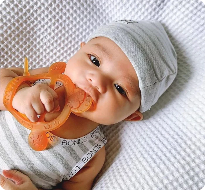 HEORSHE WRISTBAND TEETHER