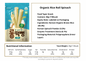Ivenet Organic Long Rice Cracker
