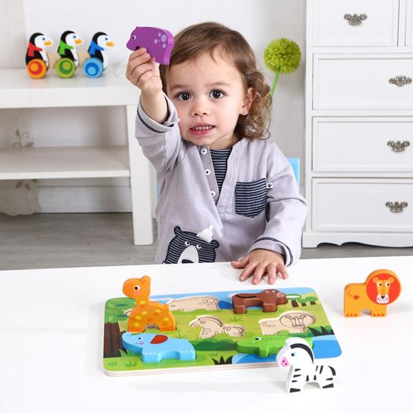 Tooky Toy Chunky Puzzle